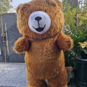 Cute Brown Teddy Bear for kid Birthday Party Delhi NCR