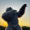 Best Gorilla Booking for Wedding