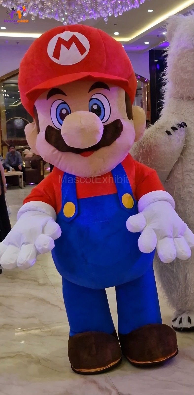Super Mario Mascot for Kid Party