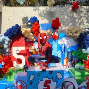 Stunt Spiderman for Kid's Party