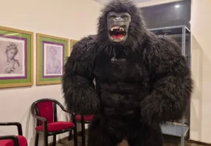 Gorilla Mascot For Parties & Events in Mumbai