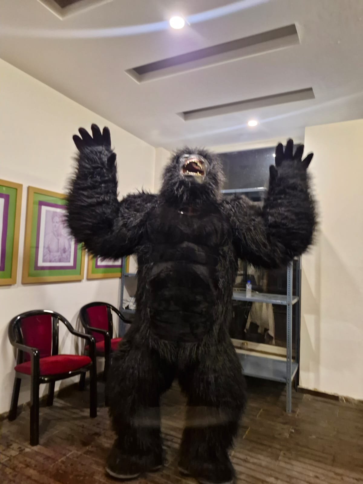 Gorilla mascot for wedding